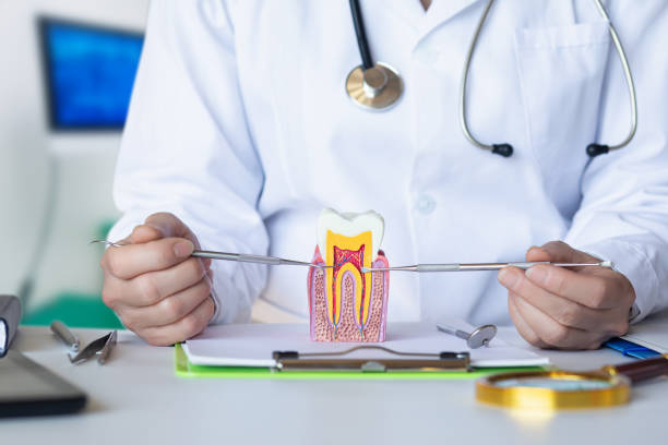 Best Knocked-Out Tooth (Avulsed Tooth) Treatment in Hermiston, OR